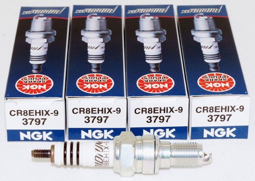 Pack genuine ngk - pack,