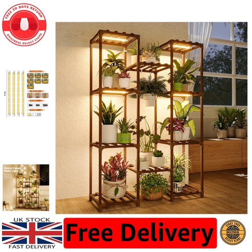 Stylish multi pot plant - multi-pot,