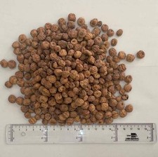 Standard Tiger Nuts For Fishing 20 kgs) 6-11 mm