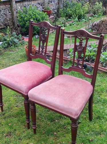 Edwardian dining chairs pair - edwardian,