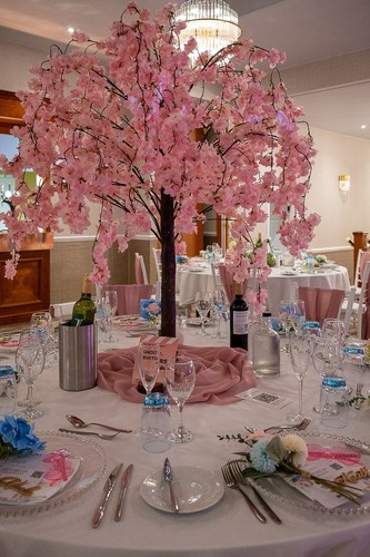 Blush pink wisteria blossom - blush,