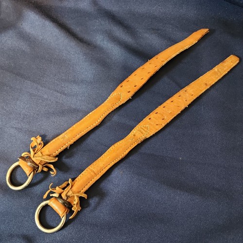 Pair rear back flank cinch - of,