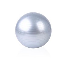 Gym Ball Exercise Fitness Yoga