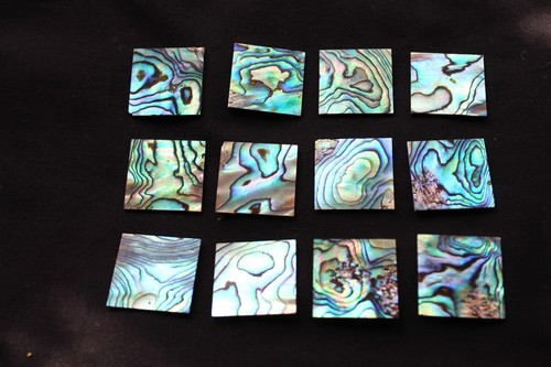 New zealand abalone mother - new,