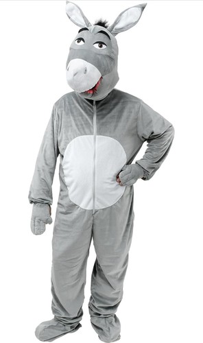 Adult donkey big head - donkey,