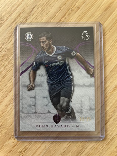 2016 topps premier - topps, eden