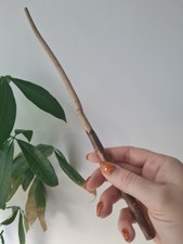 Hand Carved Whimsical Cottage Core Witchy Wooden Magic Wand