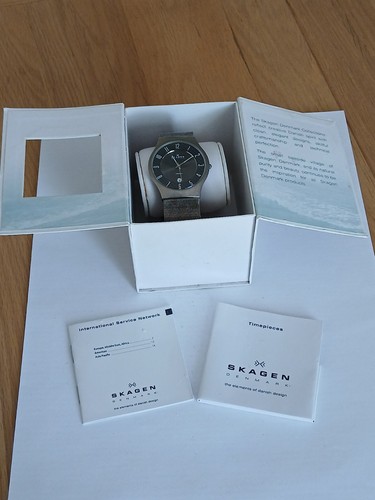 Mens skagen titanium watch - mens,