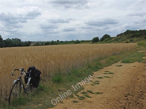 Photo 6x4 thatching straw - photo,