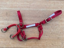 MONTY ROBERTS Dually Schooling