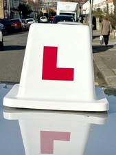 Driving School Instructor