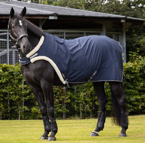 Lemieux walker rug water - lemieux,