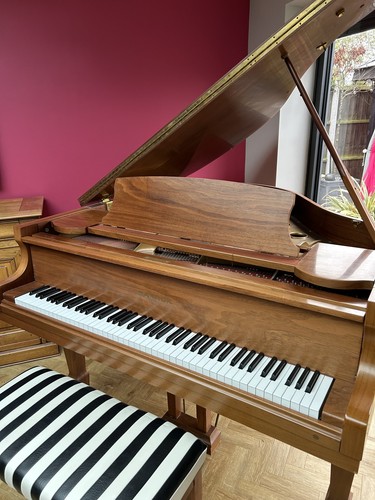 Beautiful samick baby grand - beautiful,