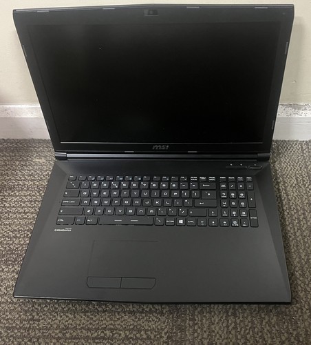 1796 nvidia geforce - ms,