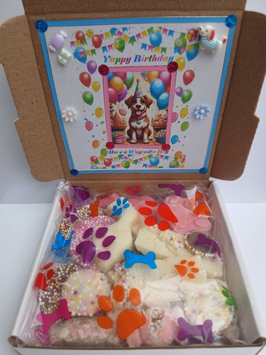 Dog chocolate birthday - dog,