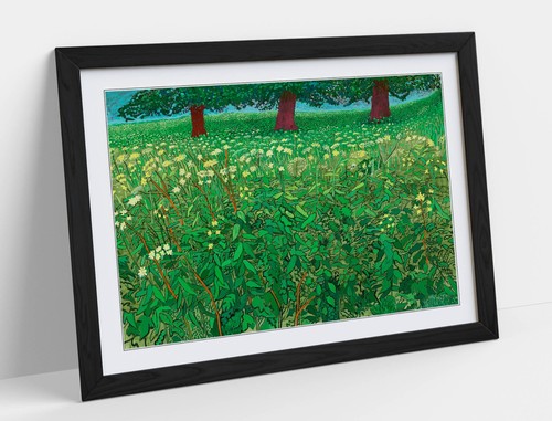 Queen anne lace david - lace,,
