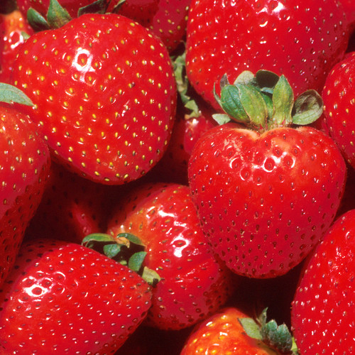 Strawberry marshmello fast - strawberry, 'marshmello'