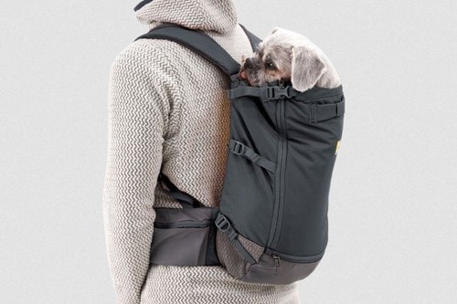 Ruffwear hitch hiker dog - hitch,