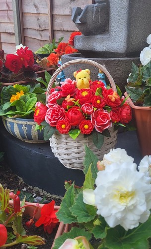 Extra large handmade red soap - extra,