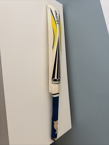 Fearnley legend cricket bat - cricket,