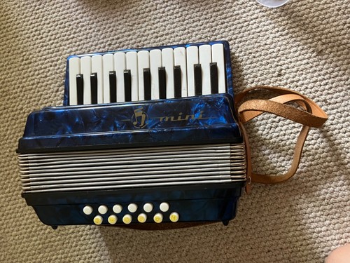 Diatonic button accordion - button,