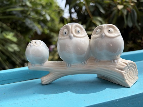John jenkins japan owls - john,