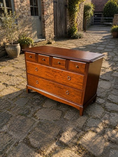 Stag minstrel mahogany - minstrel,