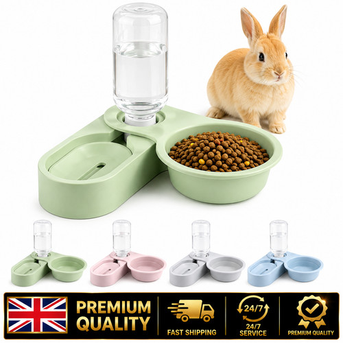 Rabbit guinea pig - rabbit,