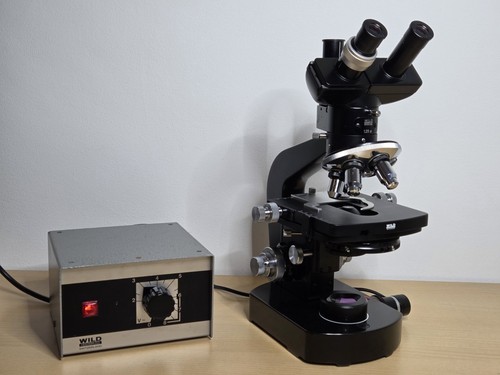 Wild heerbrugg m20 trinocular - wild,