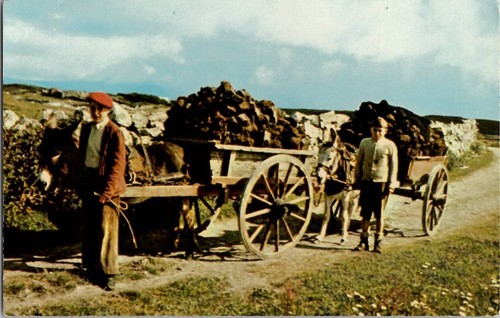 Vintage irish peat - vintage,
