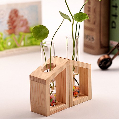 Test tube flower vase - test,