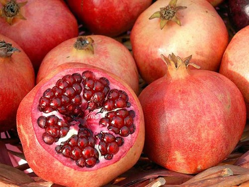 Pomegranate collection punica - pomegranate, collection,