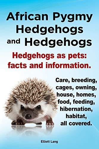African pygmy hedgehogs - pygmy,