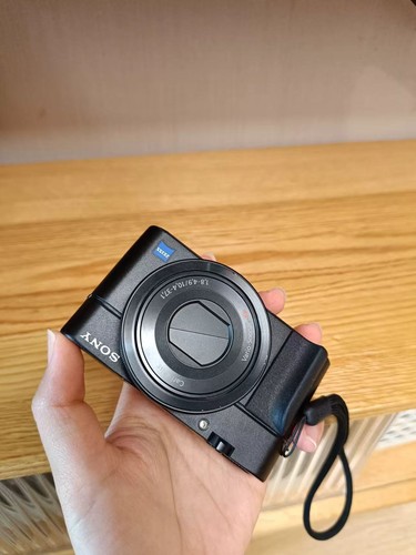 Sony rx100 compact - sony,