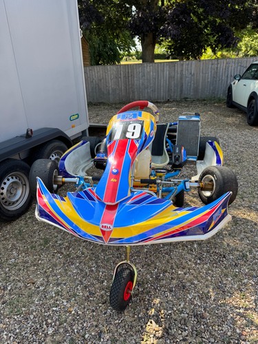 125 rotax max pre - max,