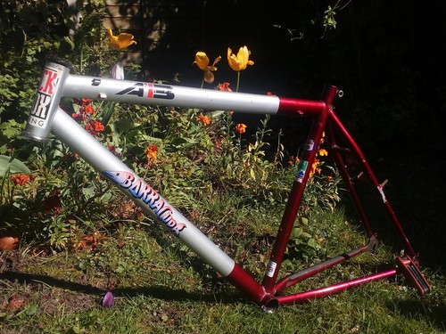 Retro vintage barracuda a2b - vintage,