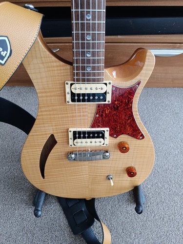 Prs custom semi - 22, hollow