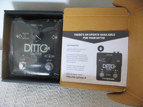 Electronic ditto looper - tc,