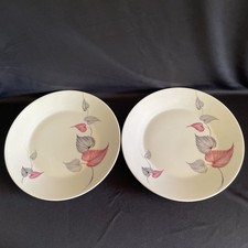 Vintage J & G Meakin Studio