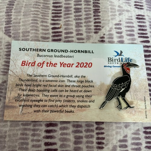 Not rspb birdlife - rspb, south