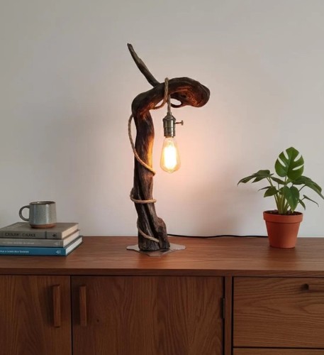 Unique driftwood floor lamp