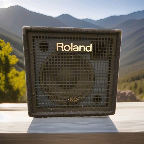 Roland keyboard vocal bass - vocal,,