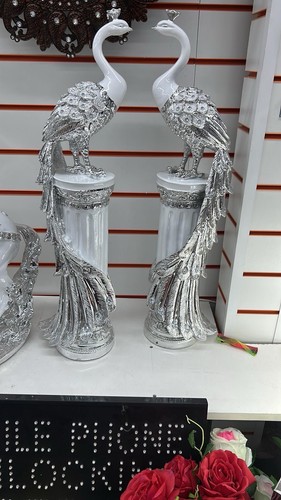 Italian white silver peacock - italian,
