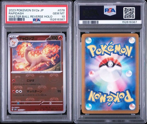 Psa10 gallop master ball - gallop,