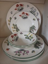 Crown Trent Fine Bone China Floral Dinner Plates and Bowls