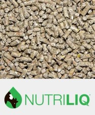 Pro Fibre, Pre Biotic For Dogs