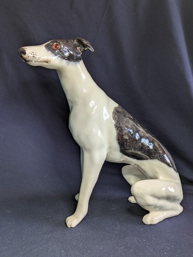 Winstanley greyhound dog size - dog,