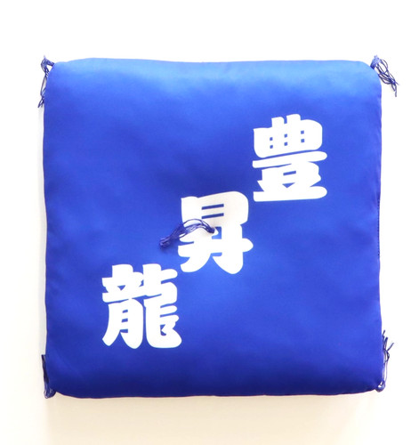 Hoshoryu sumo zabuton cushion - sumo,