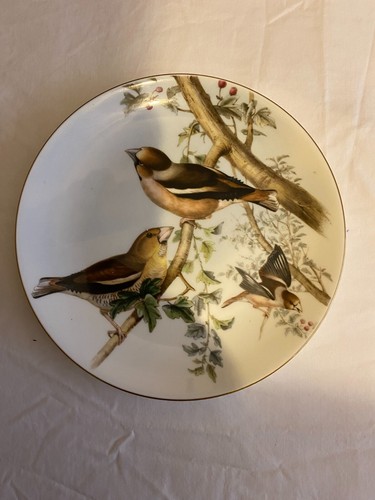 Coalport china wall plate - wall,