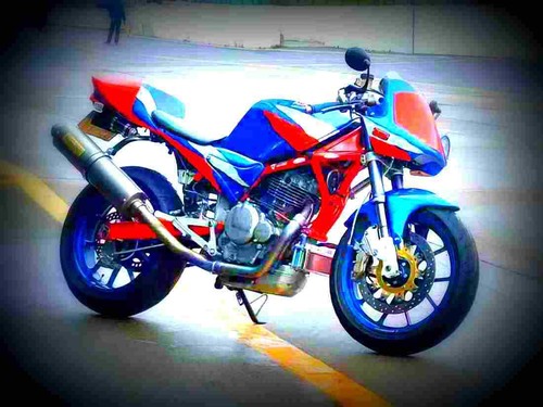 Suzuki goose 350 - suzuki,